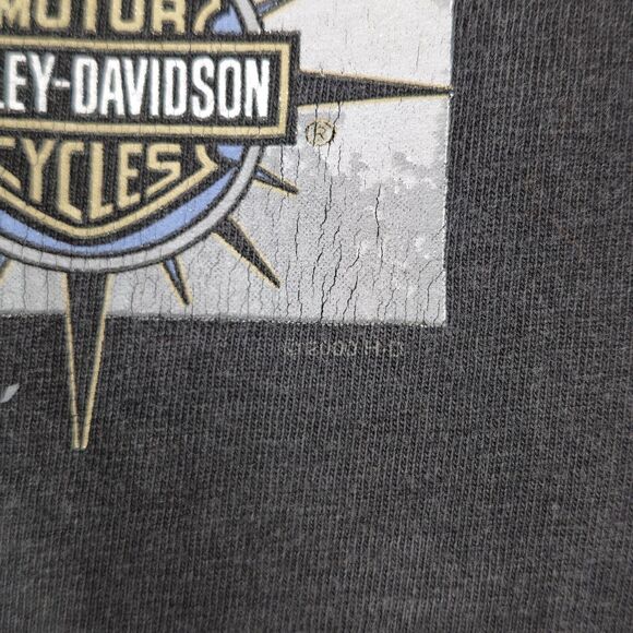 Vintage 2000 Harley Davidson T-Shirt Mens L Anderson South Carolina Timms - Picture 6 of 10
